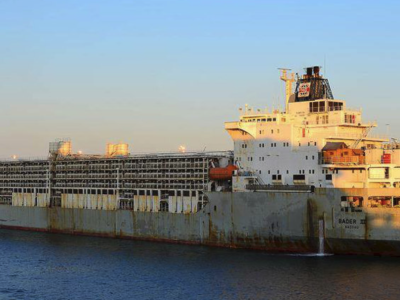 Livestock carriers: The most dangerous vessels in the world ?